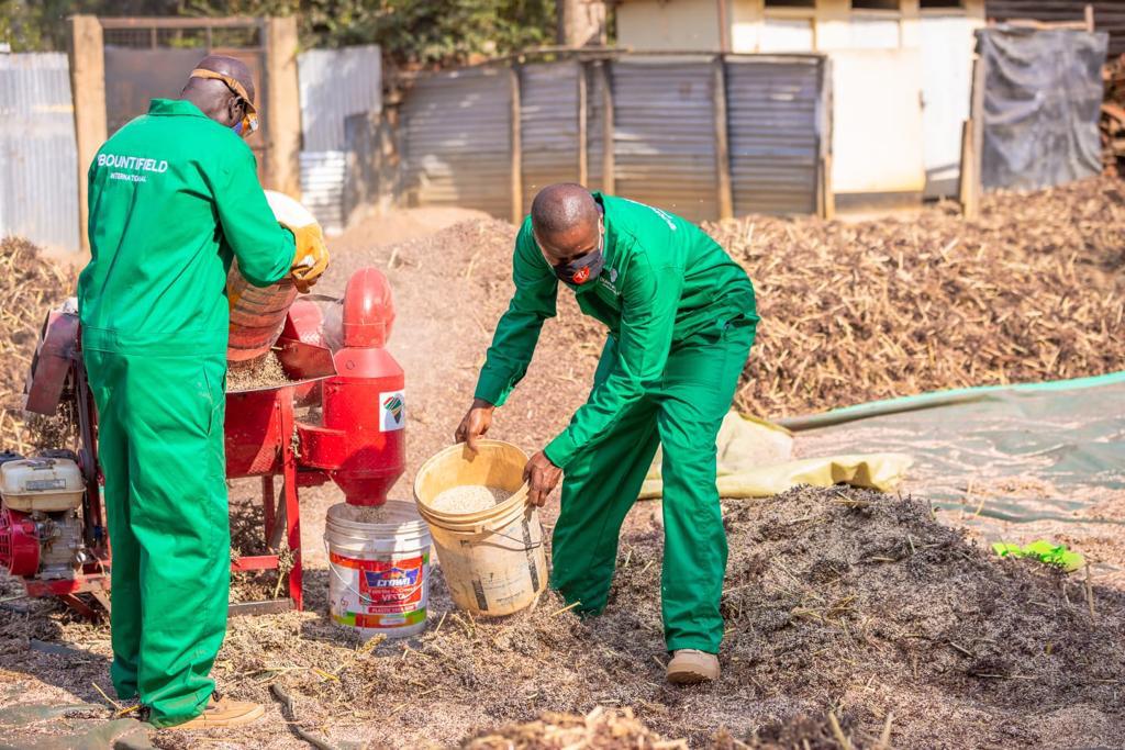 Farmers in Busia