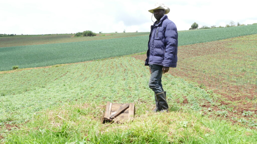Harisson Naibei 2 1