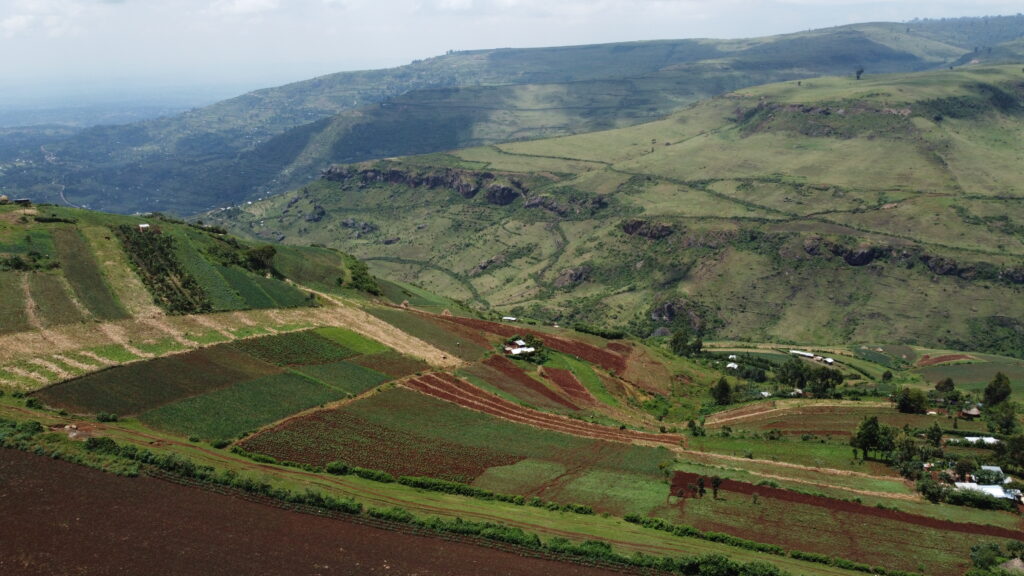 Mt. Elgon deforested 2 1