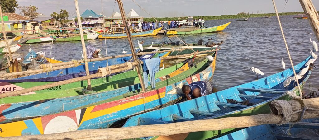 fishing boats packed on L. Victoria 1