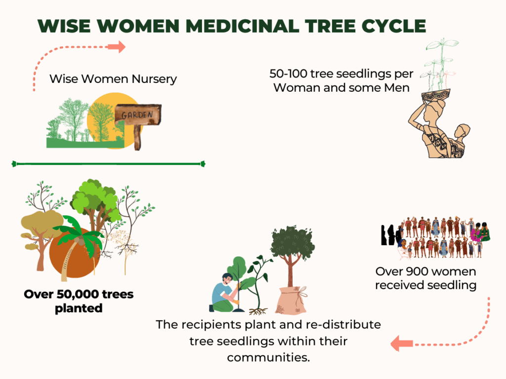 medicinal tree cycle