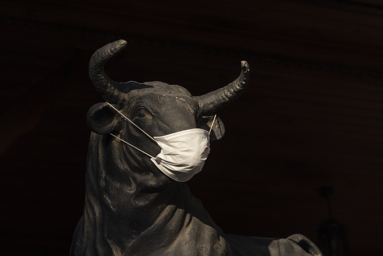 zoonotic diseases masked bull