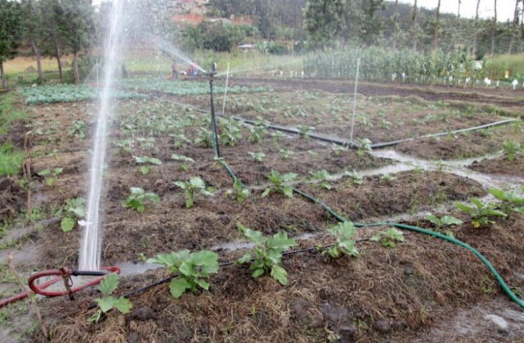 IRRIGATION RWANDA NILE5 1