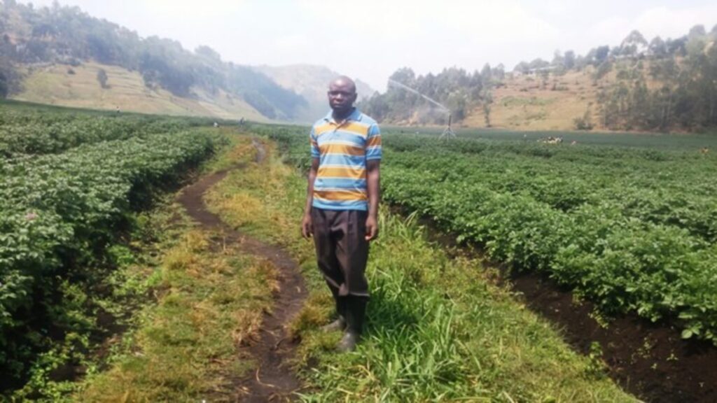 IRRIGATION RWANDA NILE 3 1