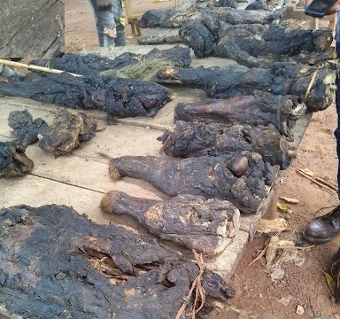 BUSHMEAT 2