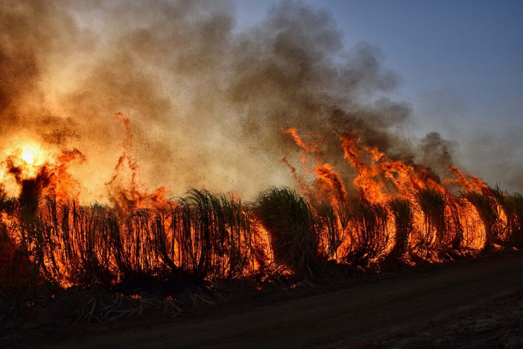 burning
