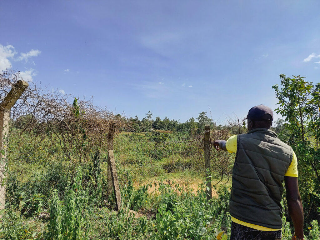 Yala fenced area