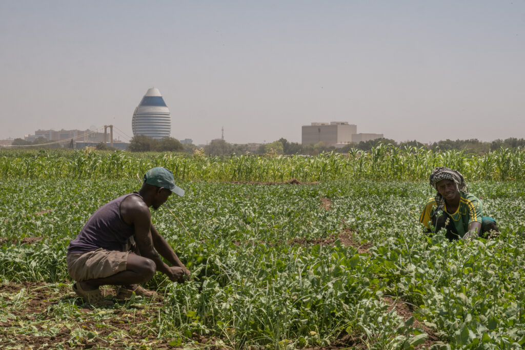bastien massa sudan infonile 10
