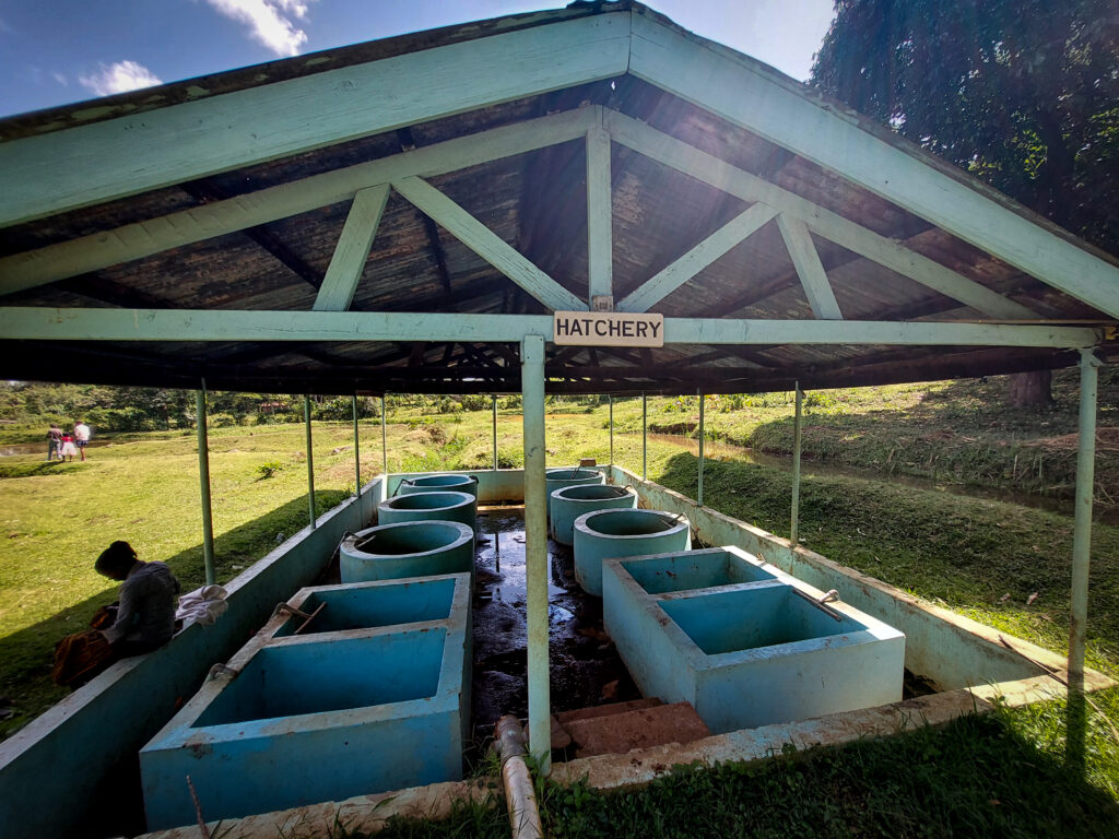 hatchery