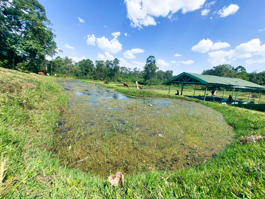 main source of fish