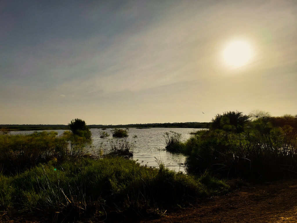 sunset in Yala