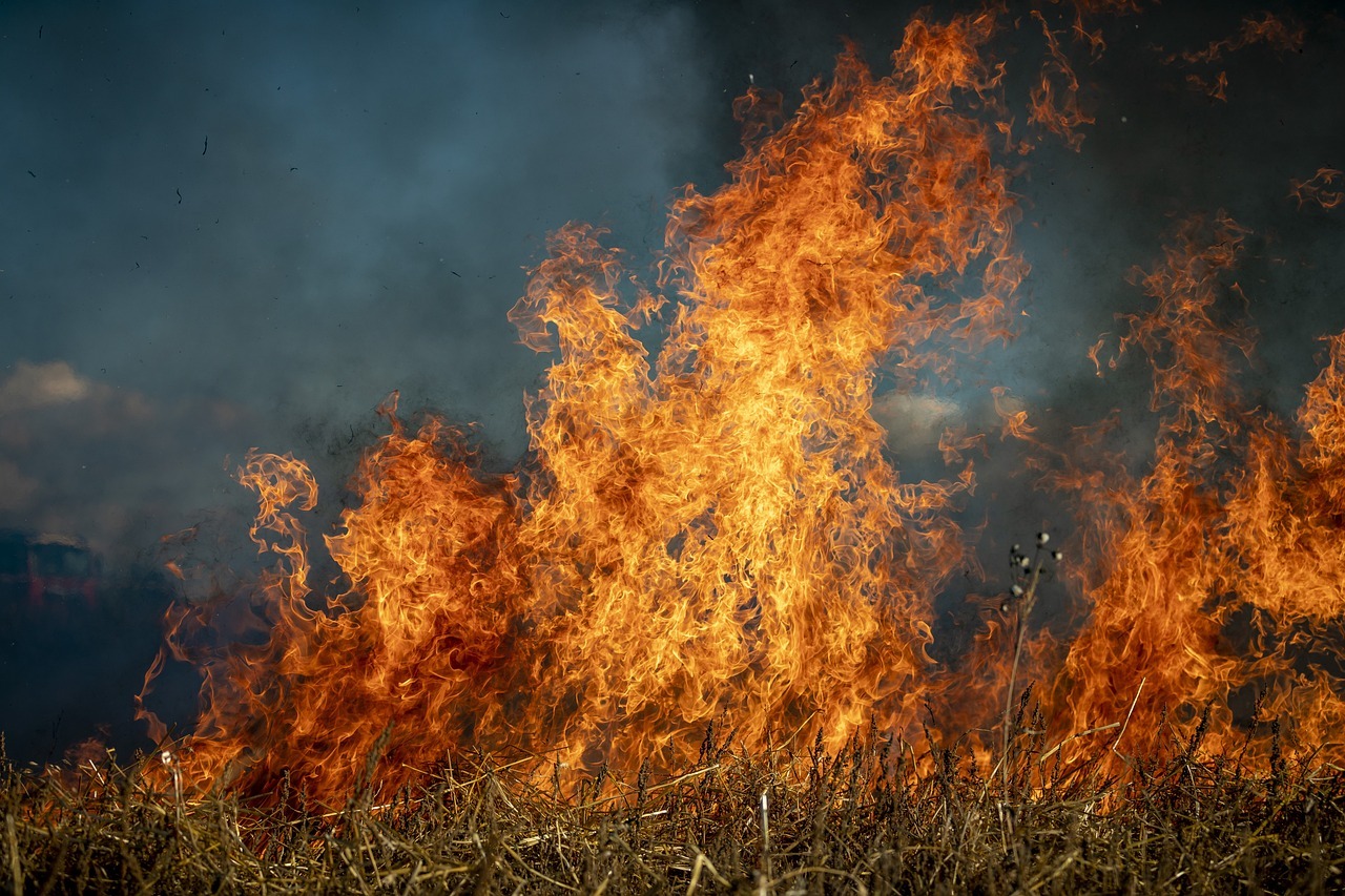 wildfire 1