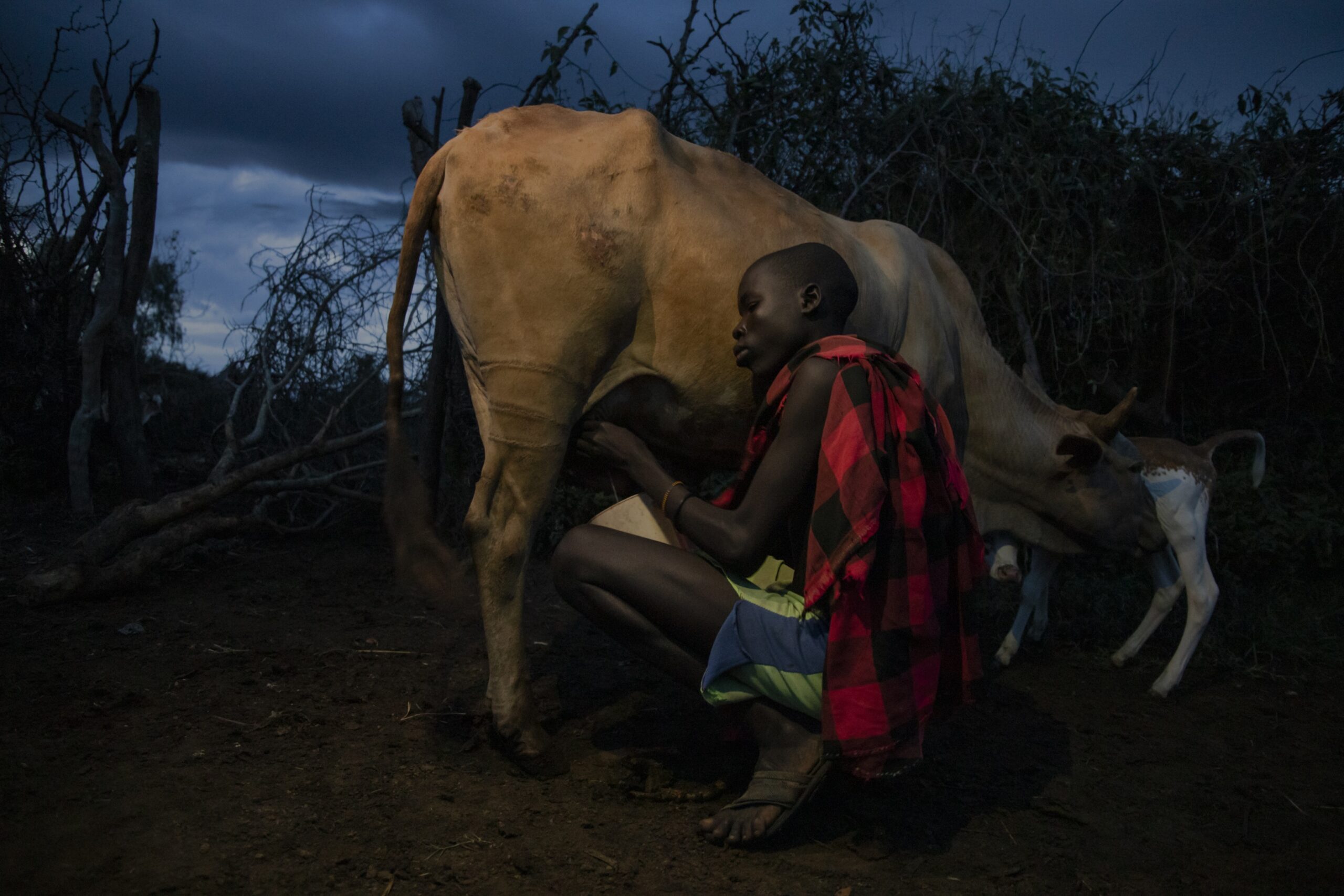 Karamoja