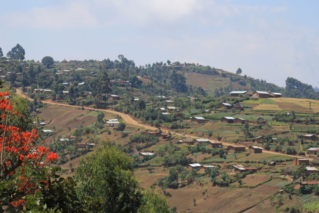 Agricuktural landscape in Luutu