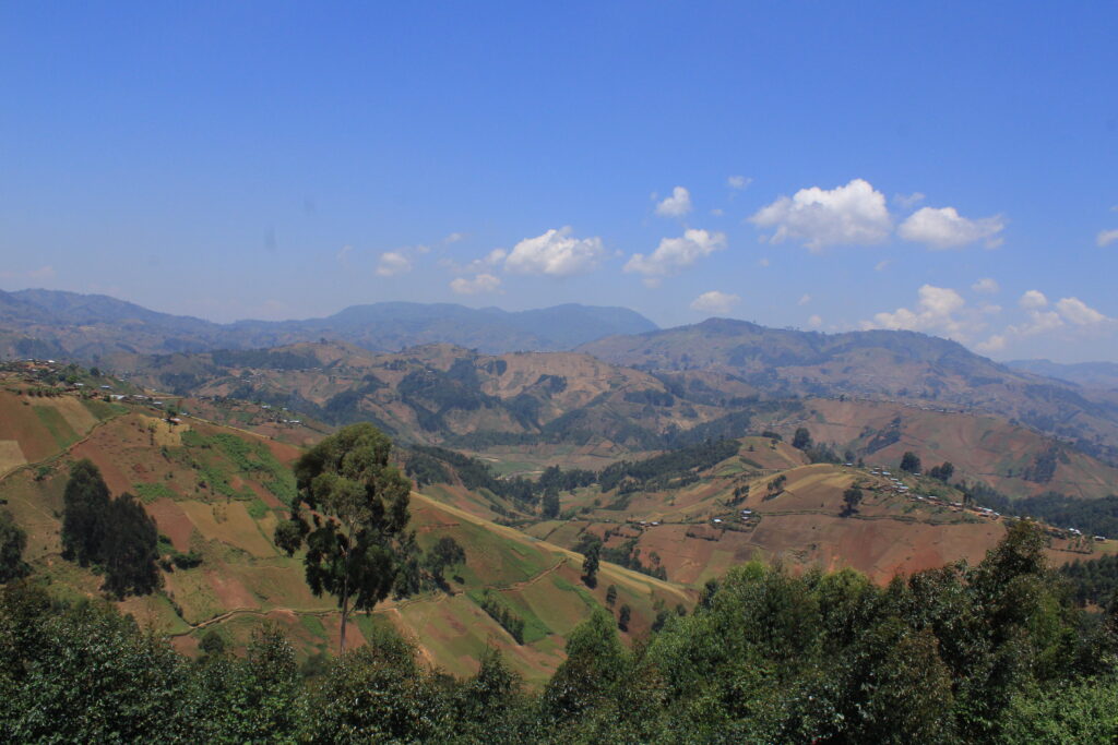 BARE LAND