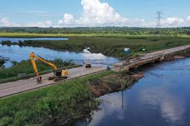 Katonga Swamp