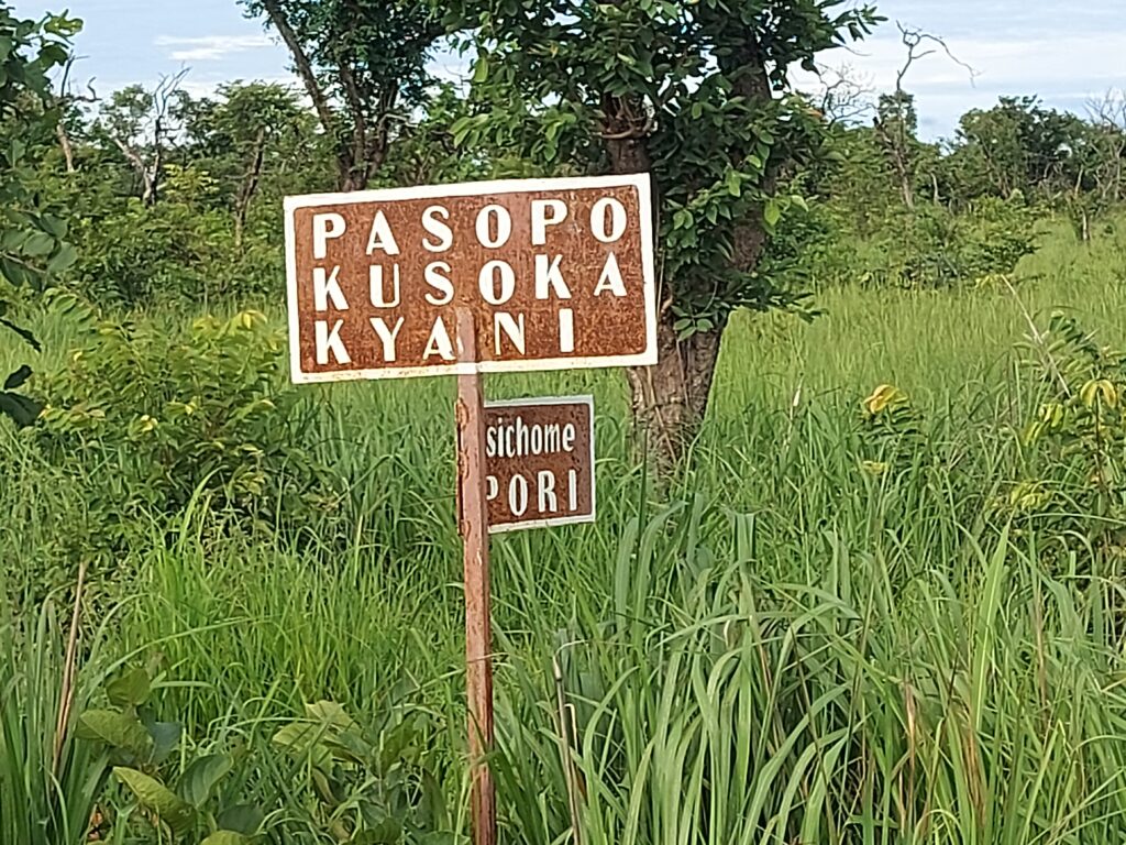 Pasopo Kusoka