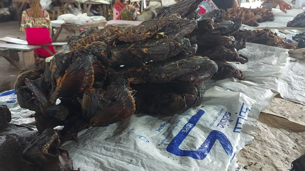 bush meat 1