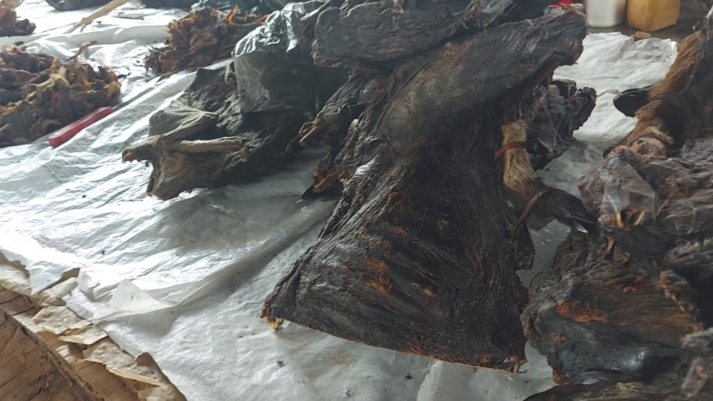 bushmeat 2