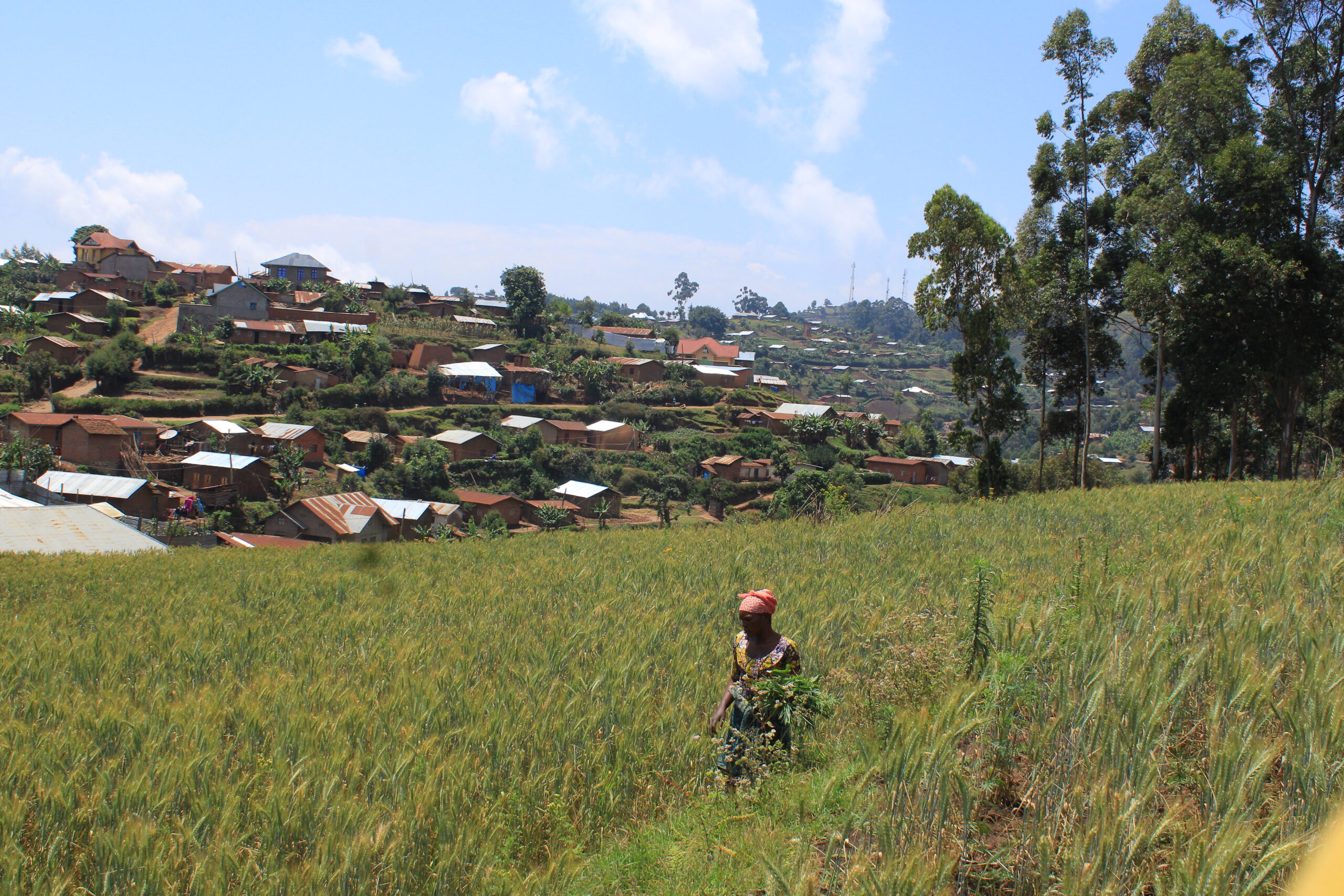 village around Virunga National Park scaled