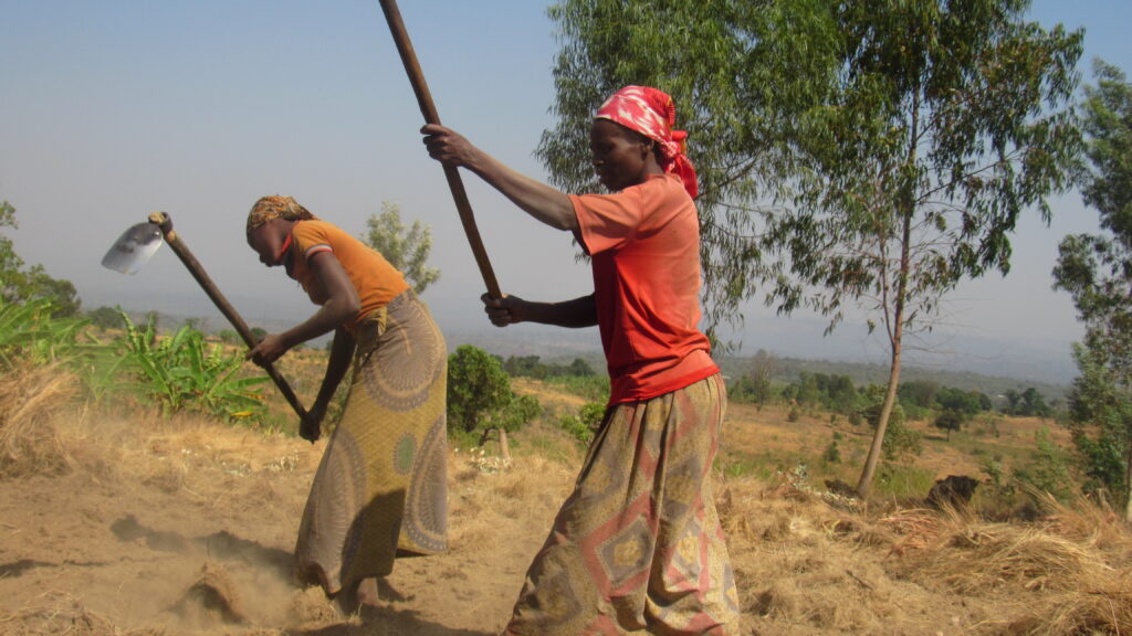 RDC-Burundi: les Forêts et les parcs  victimes de l’exiguïté et de l’infertilité des terres