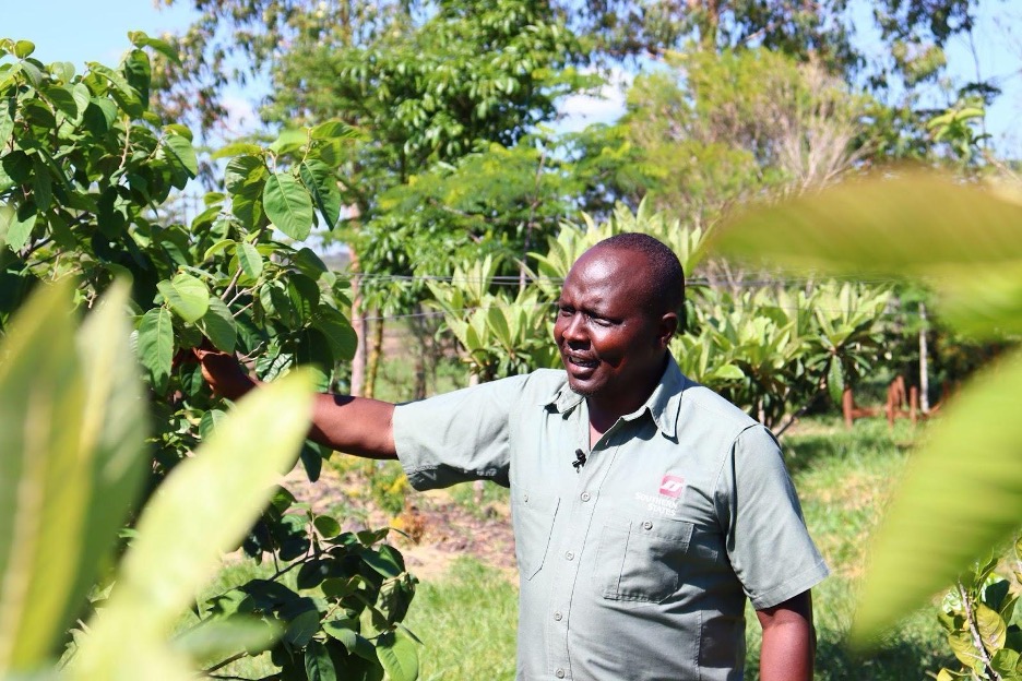 Paul Tobiko