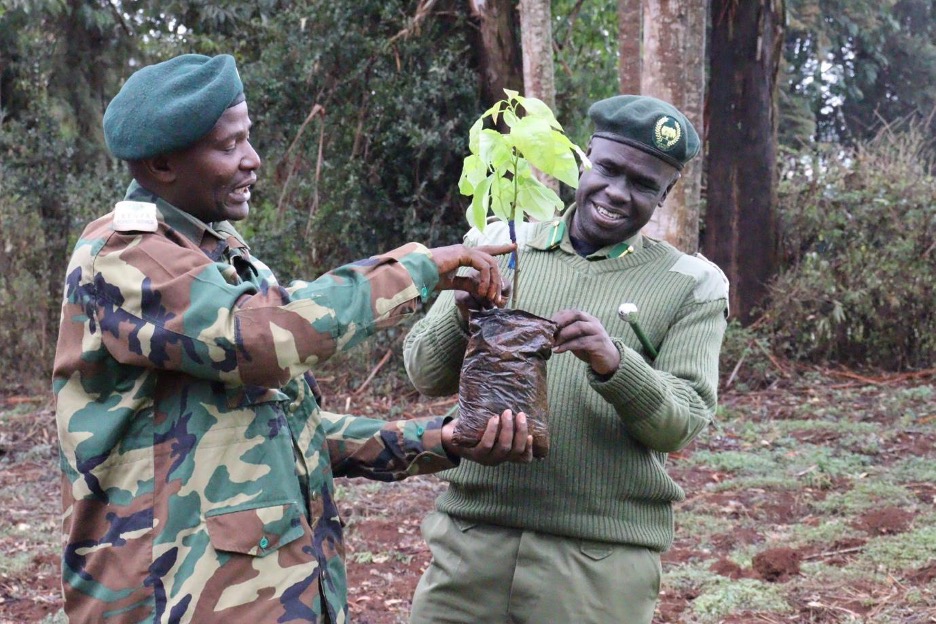 ngong
