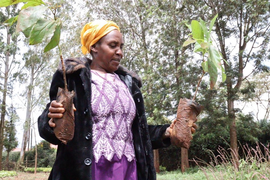 Regina Njoki