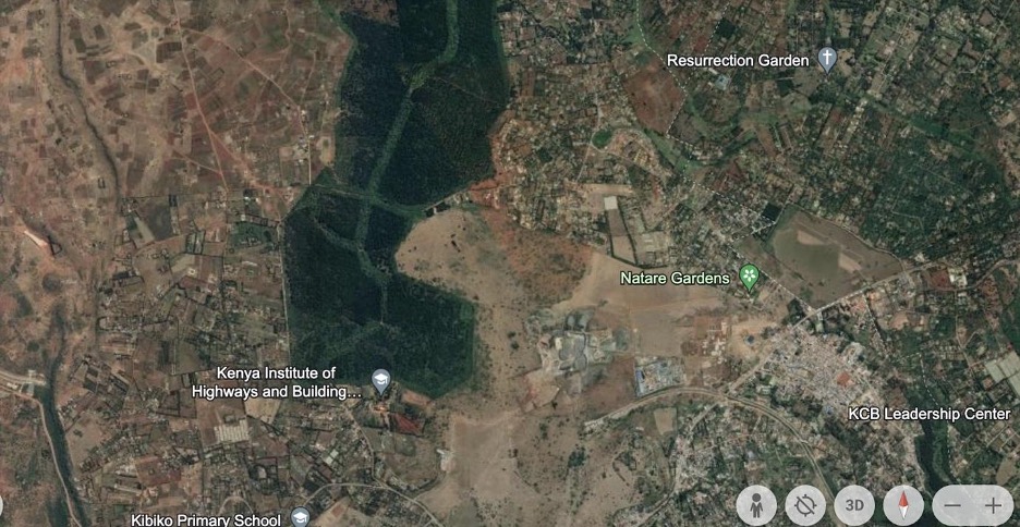 satelite image Kibiko forest