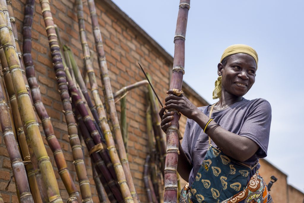 Ann sugarcane seller