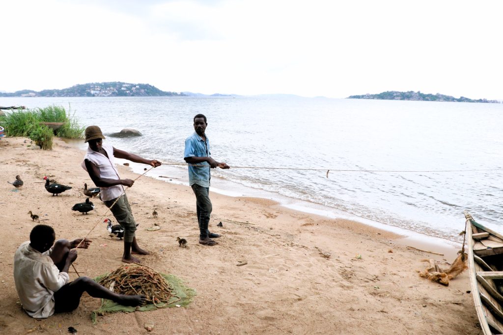 Fishermen using illegal beach seines net kokoro at Mwembeni landing site in Ilemela District Mwanza Region recently
