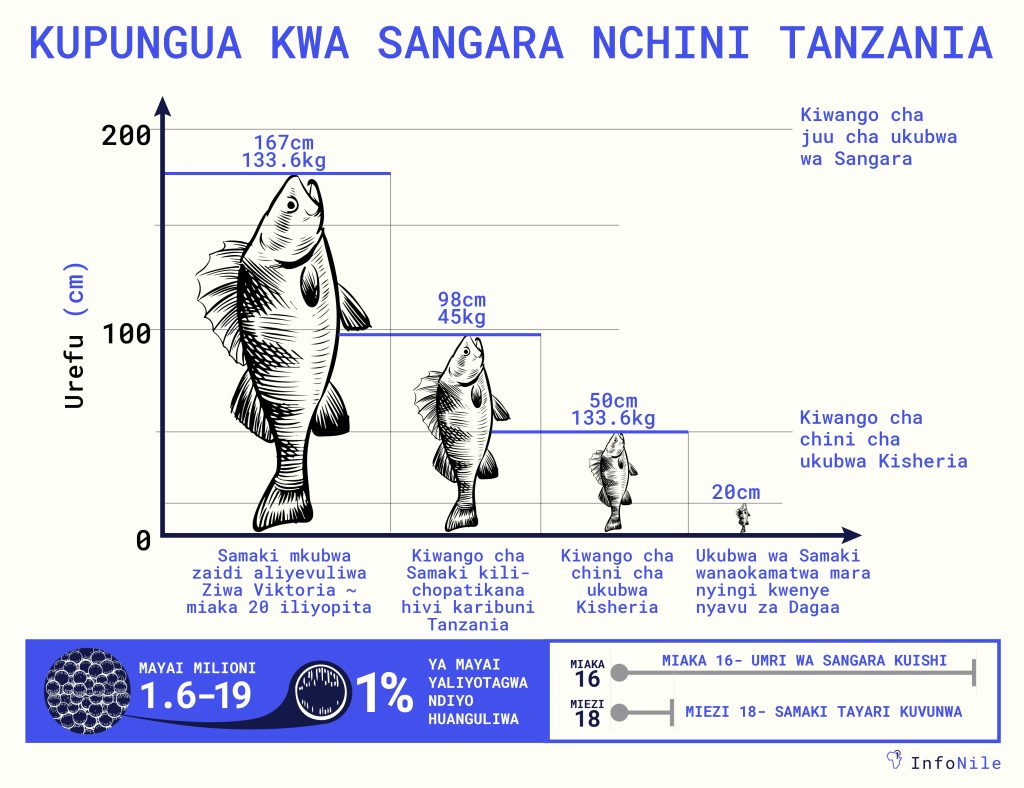 LEGAL ILLEGAL NETS translated 01