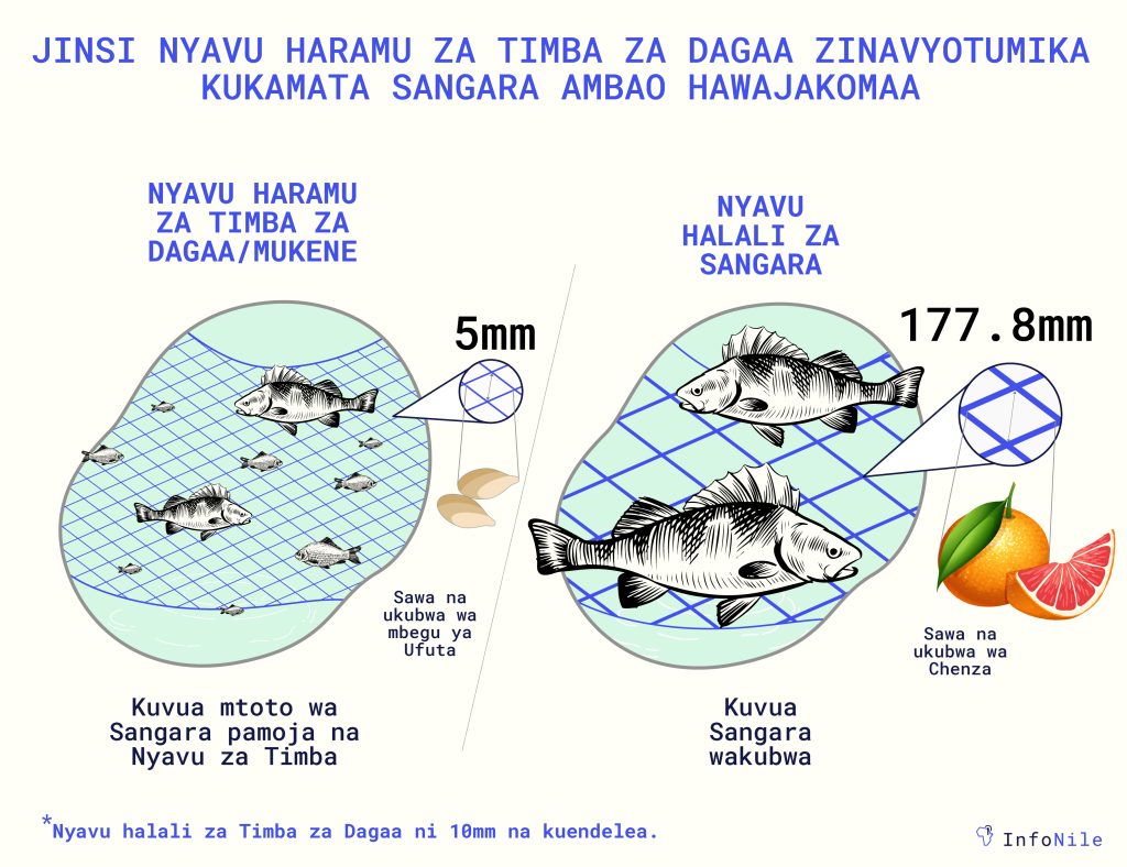 LEGAL ILLEGAL NETS translated 02