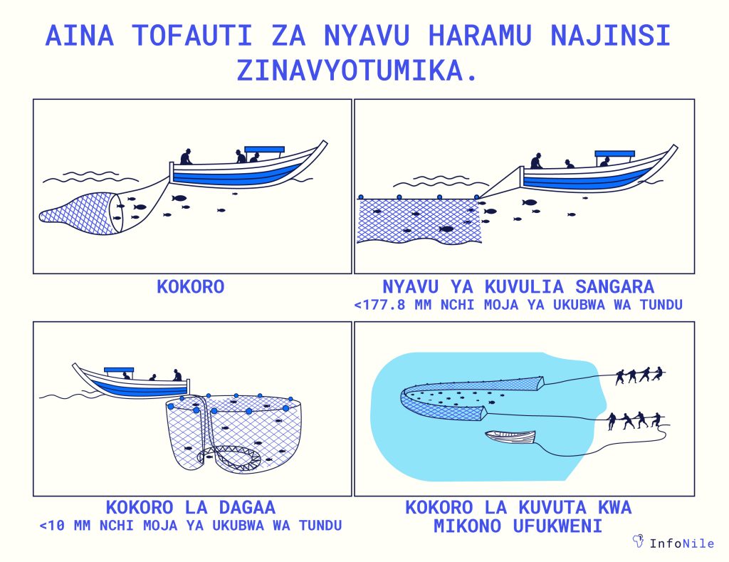 LEGAL ILLEGAL NETS translated 03