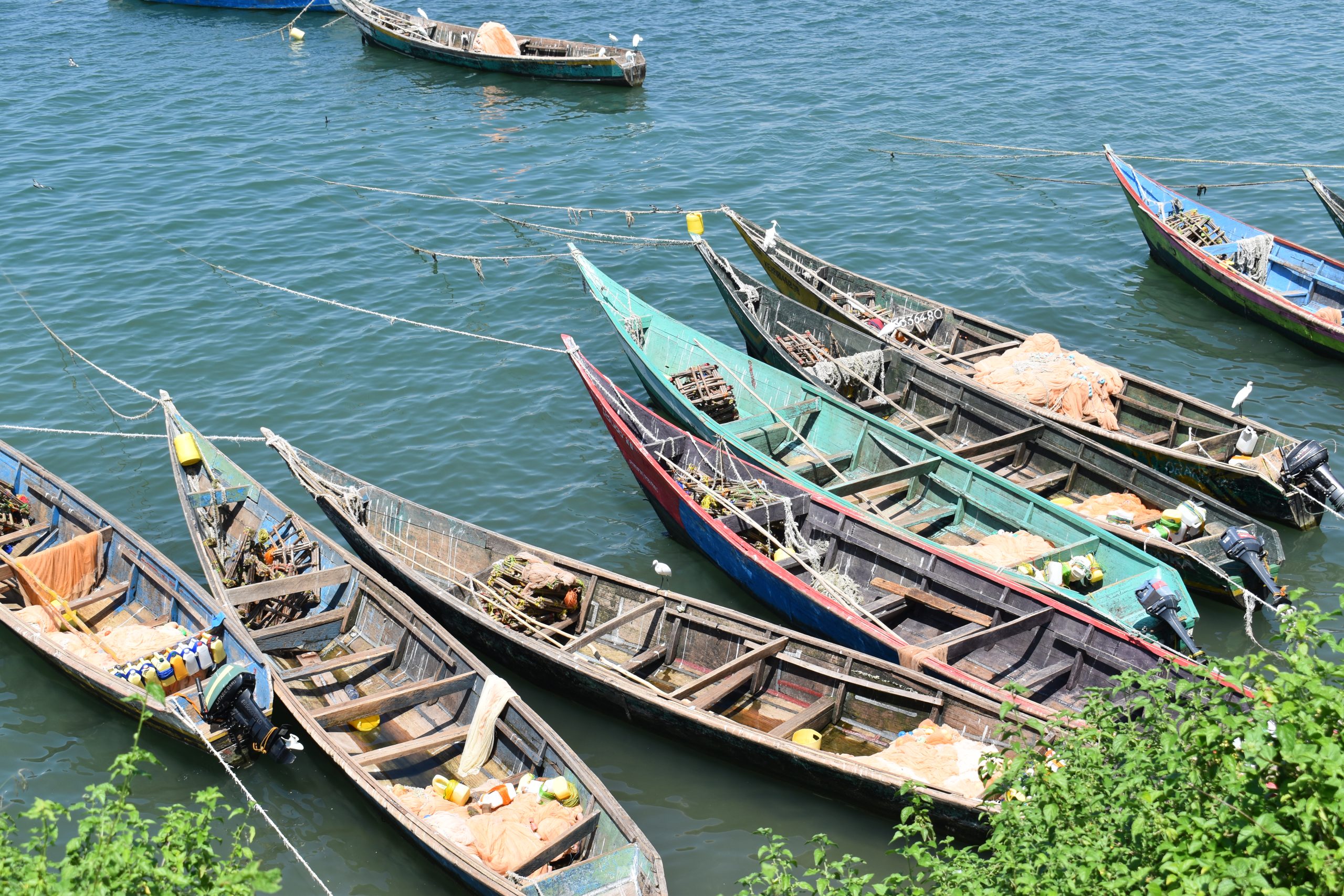 Engine boats lined up along Litare beach waiting for silver cyprinid (dagaa) fishing expedition at night