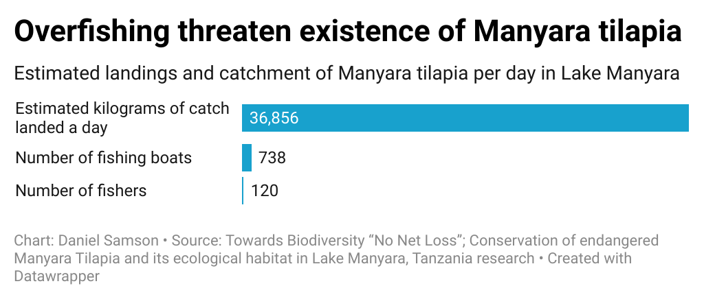 overfishing threatens existence of manyara