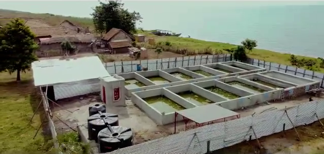 Aerial view of fish breeding tanks of the Virunga COPEVI fisheries cooperative operational in Kyavinyonge 2