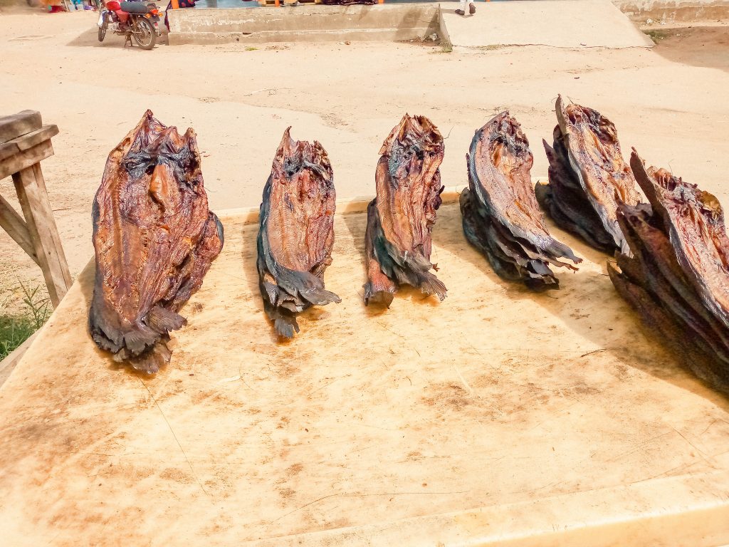 Dried fish Processed by Watanakita Women group in Terekeka County CES in November 2023 by Denis Morris