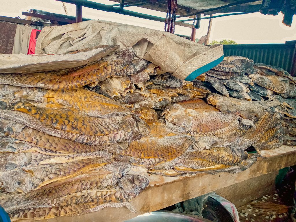 Dried fish in the market in Bor town of Jonglei State South Sudan