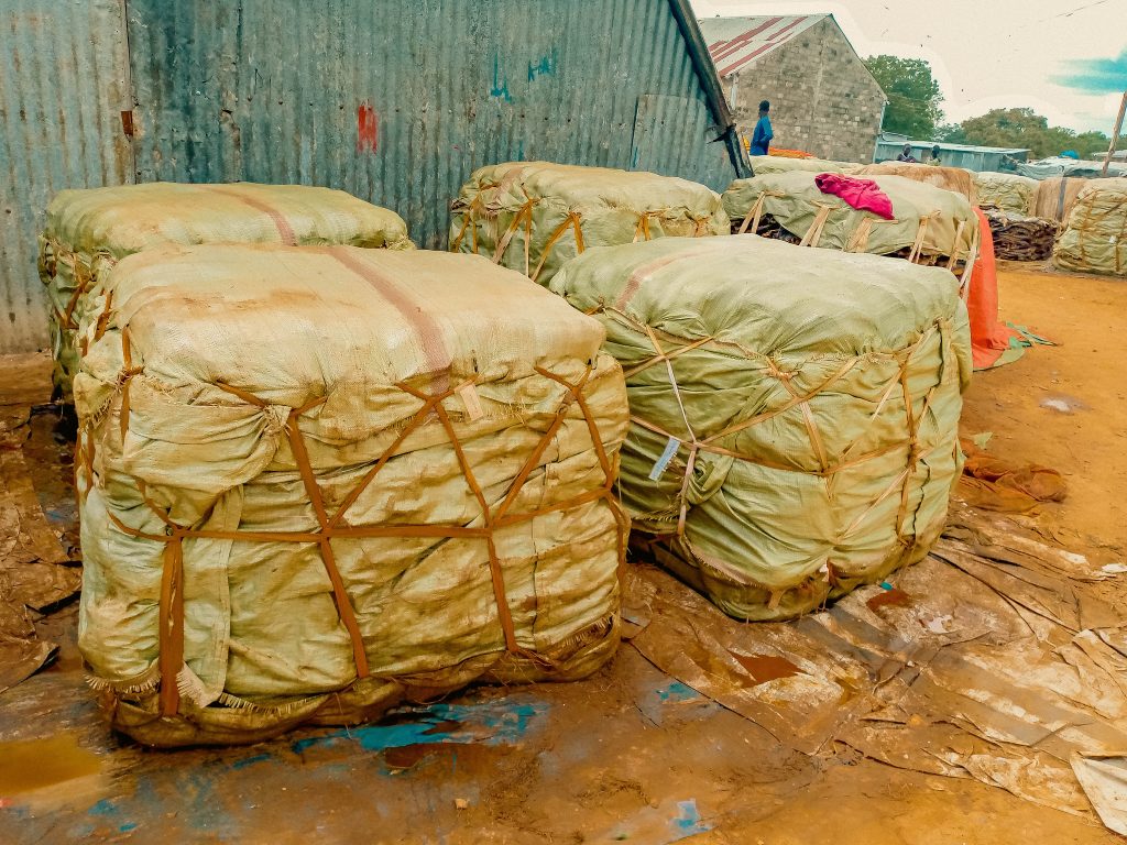 Dried salted fish 1