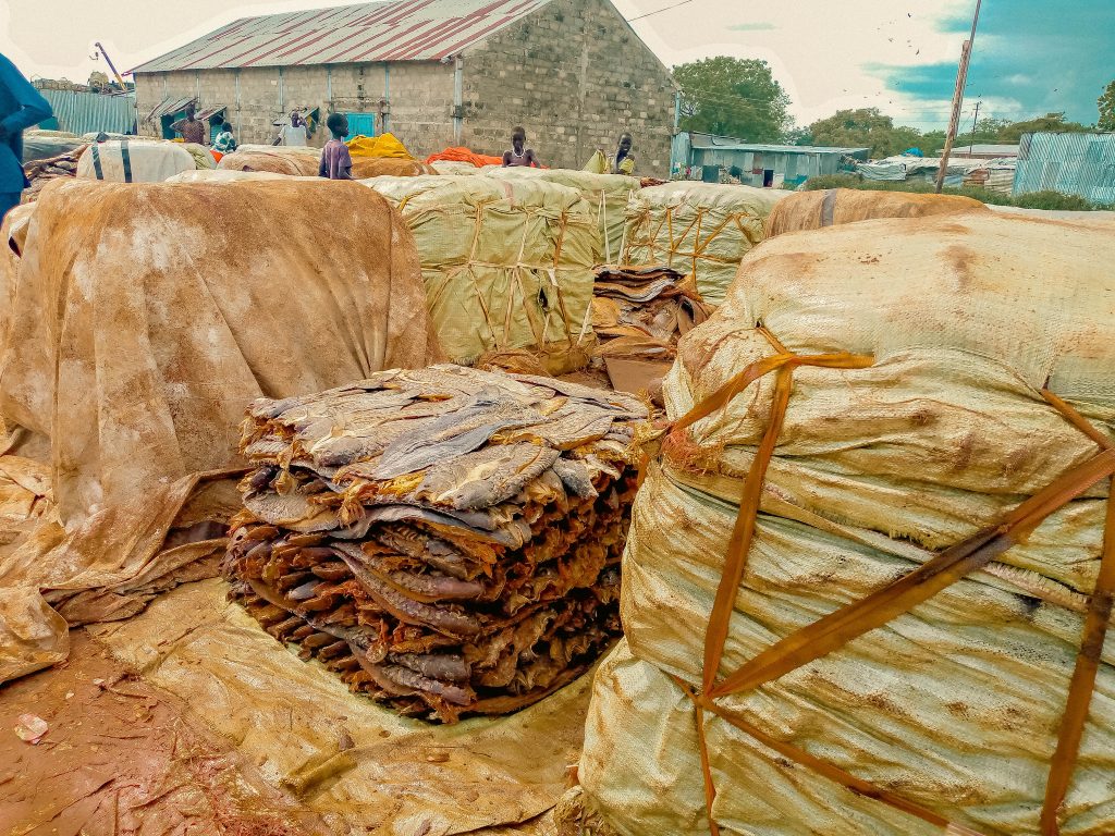 Dried salted fish 2 1