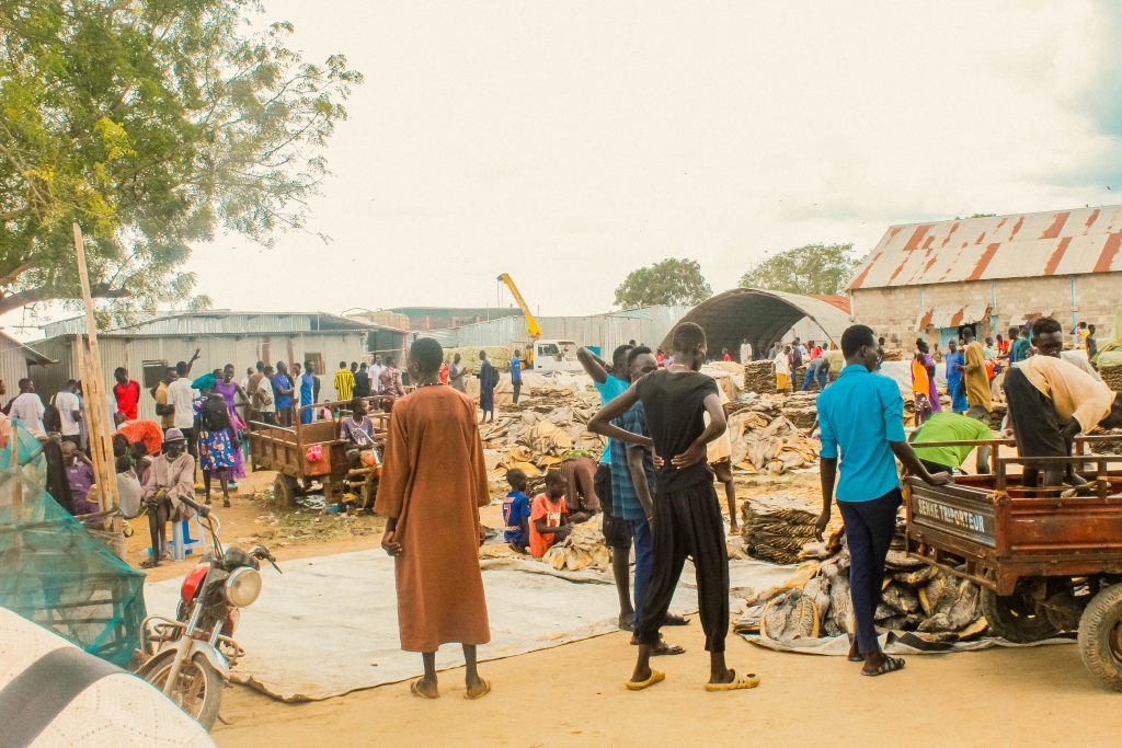 Fishing market in Bor town of Jonglei State of South Sudan 1