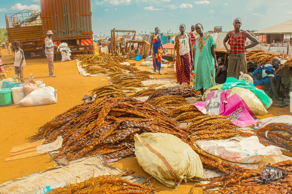 cover photo Fishing market in Bor town of Jonglei State of SSD 1