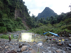 A light trap in Makira