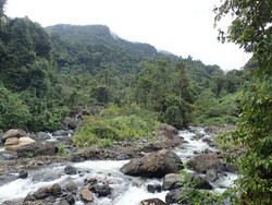 Makira Natural park