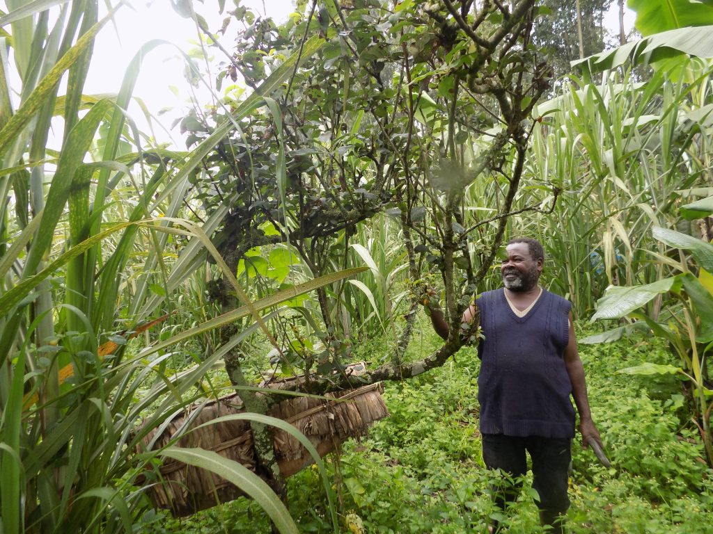 Deogratias Kabebasiza of kigongi Kabale Municpality . he is a member of Upper Maziba Water and Environment Cooperative 1