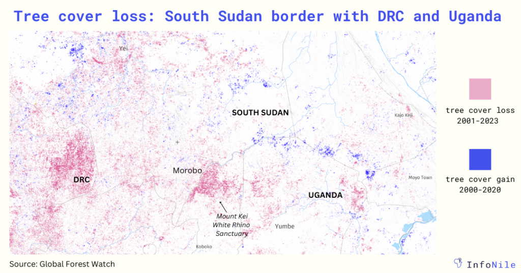 TREE COVER LOSS IN SSD 2