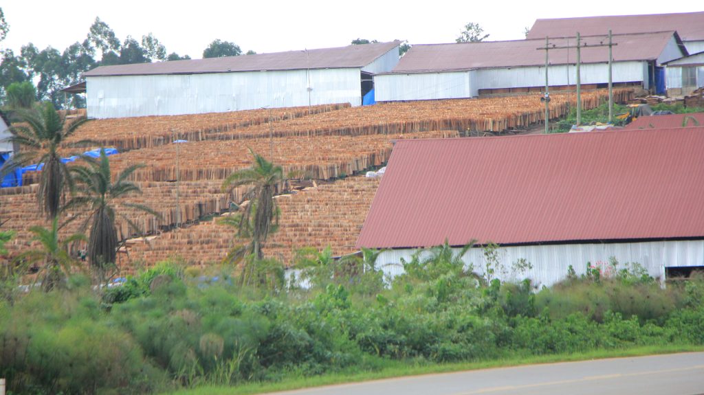 timber