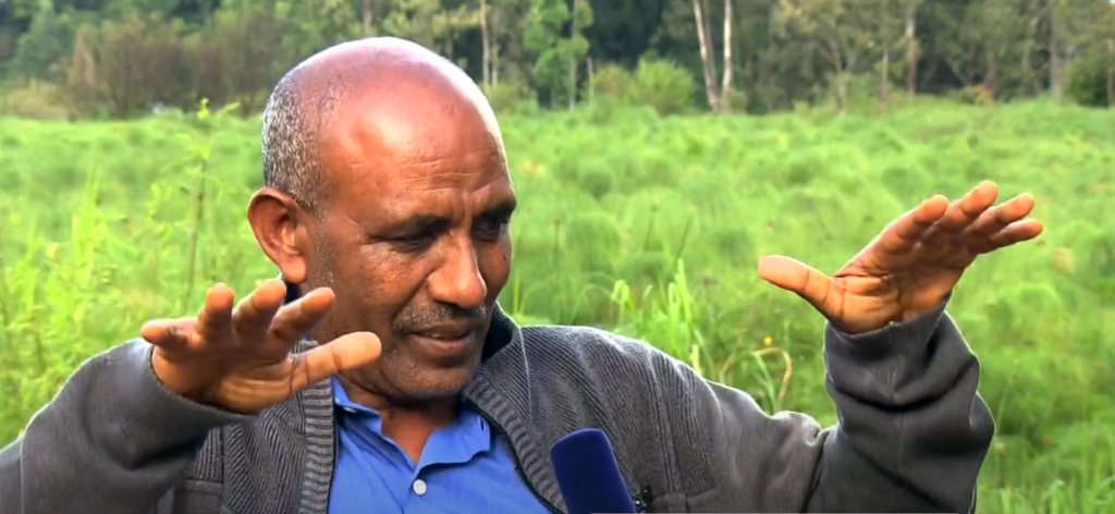 Dr Nibret Asrade Papyrus Project Coordinator at Bahir Dar University 2