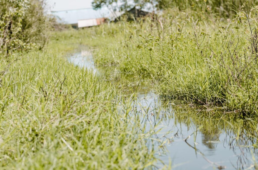 Back flow from lake victoria 3